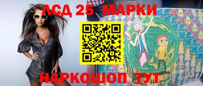 сатива Ставрополь