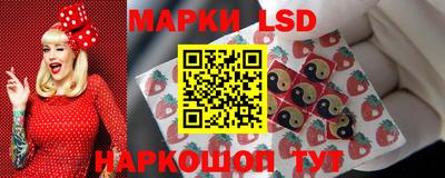 сатива Ставрополь