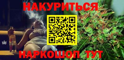 сатива Ставрополь