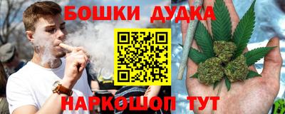 сатива Ставрополь