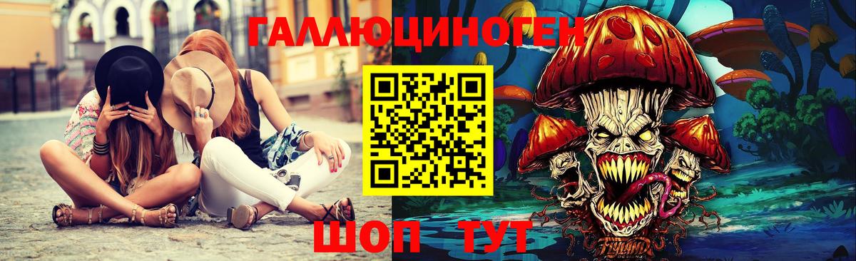 Псилоцибиновые грибы Cubensis Моздок