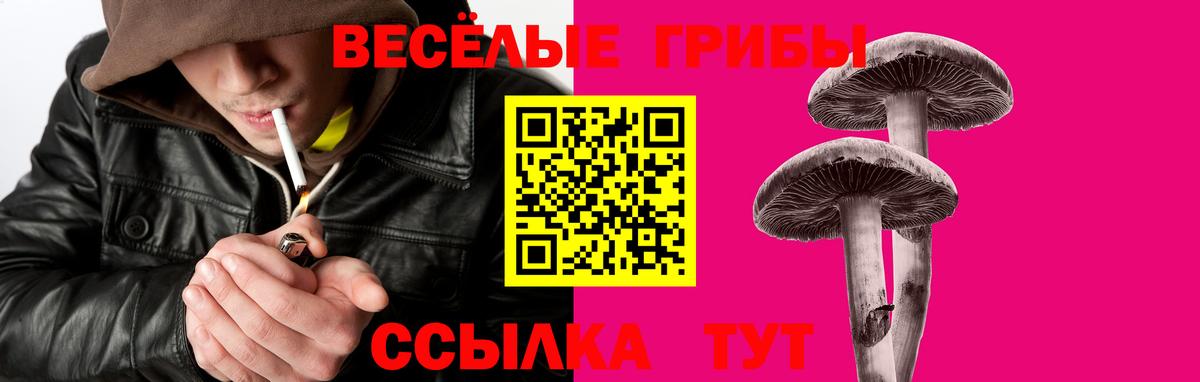 Моздок  хочу наркоту  Галлюциногенные грибы мицелий  Вход с VPN  Галлюциногенные грибы GOLDEN TEACHER 